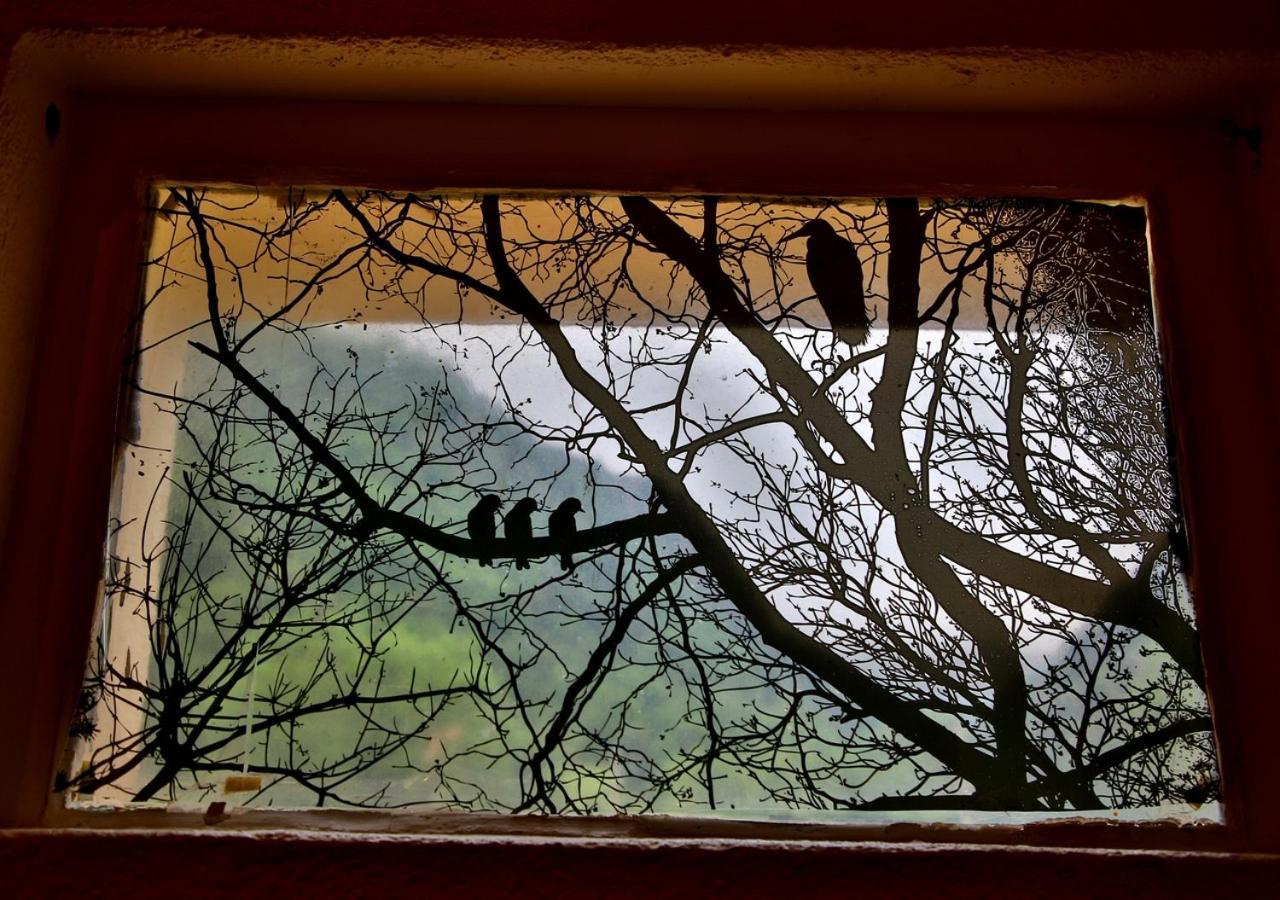 Beau Vallon - Gite Et Chambres D'Hotes Pyrenees-Mediterranee - Pays Catalan Sahorre Экстерьер фото